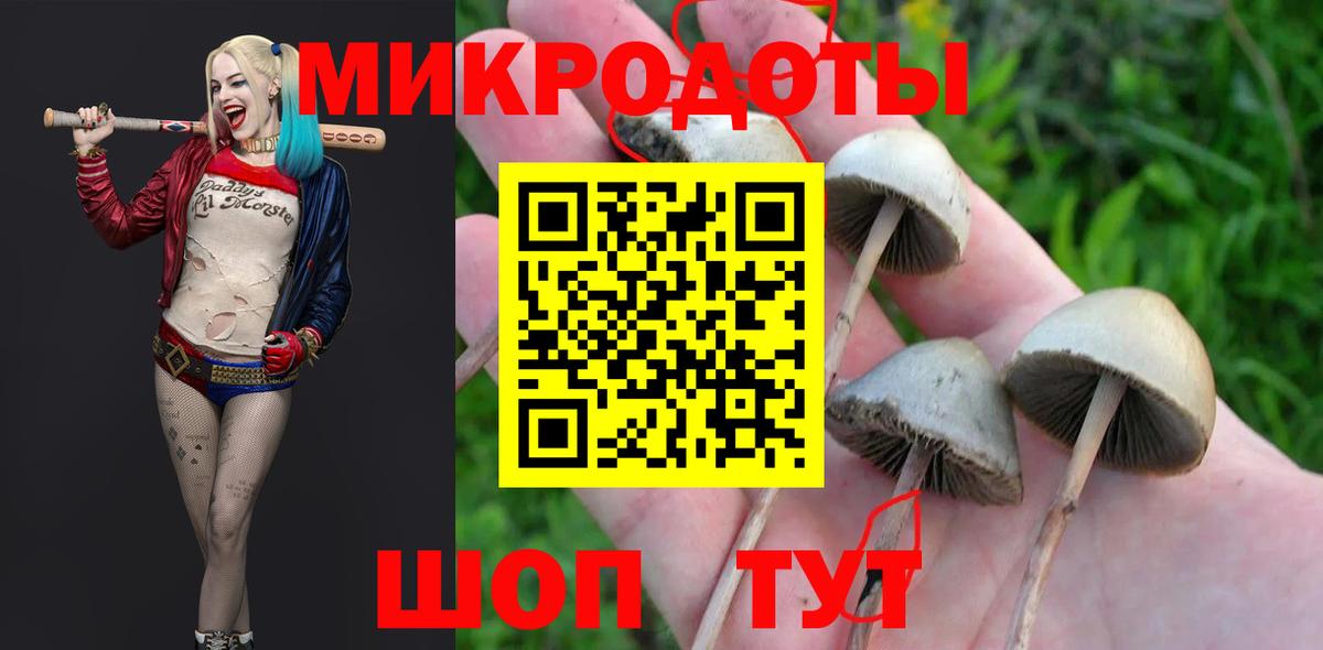 Псилоцибиновые грибы прущие грибы  Вход с VPN  Киров 