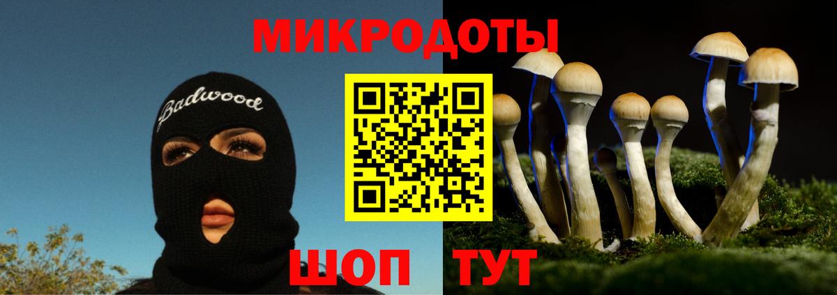 Псилоцибиновые грибы MAGIC MUSHROOMS Киров